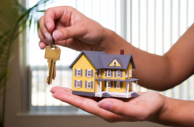 Gayrimenkul Hizmetleri